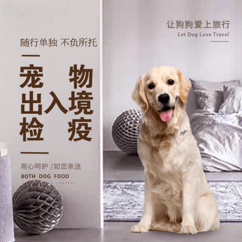 新竹市宠物托运到哥伦比亚猫狗宠物入境规定和