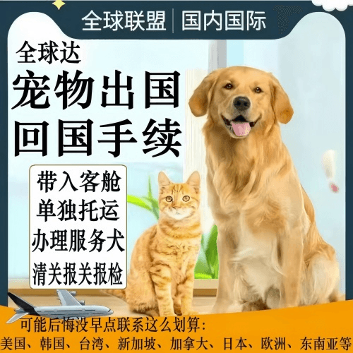 新竹市宠物托运到柬埔寨宠物入境规定和要求