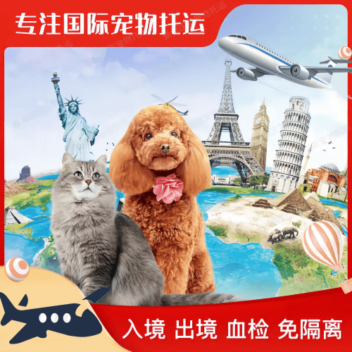 新竹市宠物托运到美国宠物入境最新规定和要求