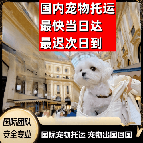 新竹市到澳大利亚（澳洲）宠物入境规定和要求